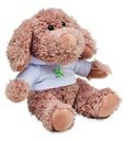 Immagine 4