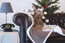 Immagine 7