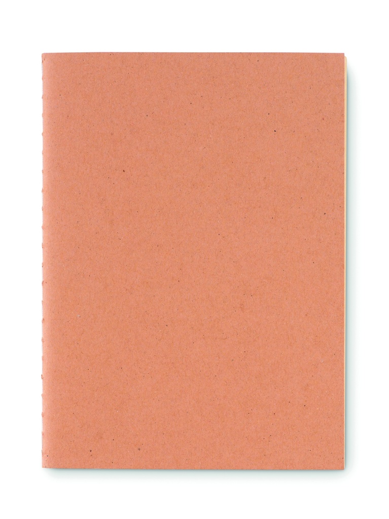 Immagine 2