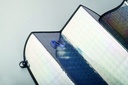 Immagine 3