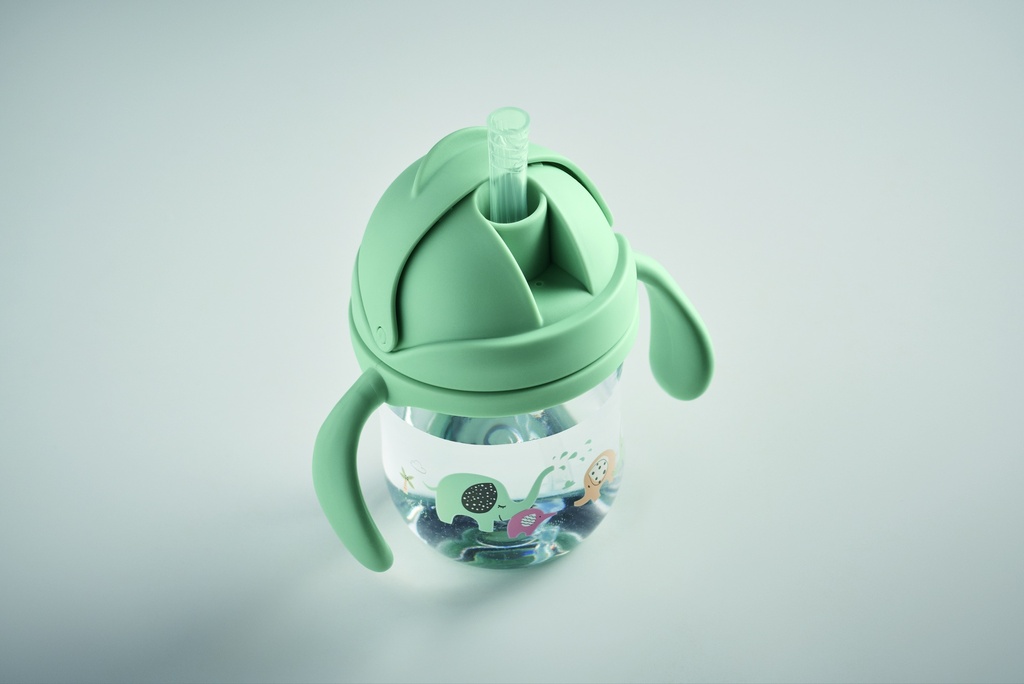 Immagine 6