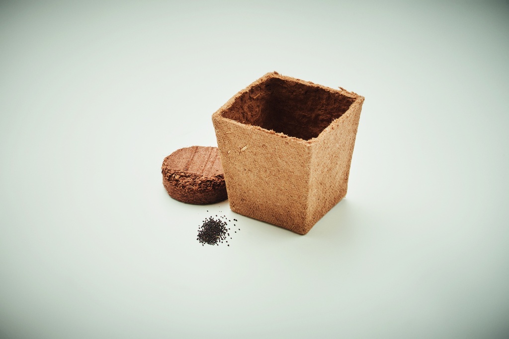 Immagine 5