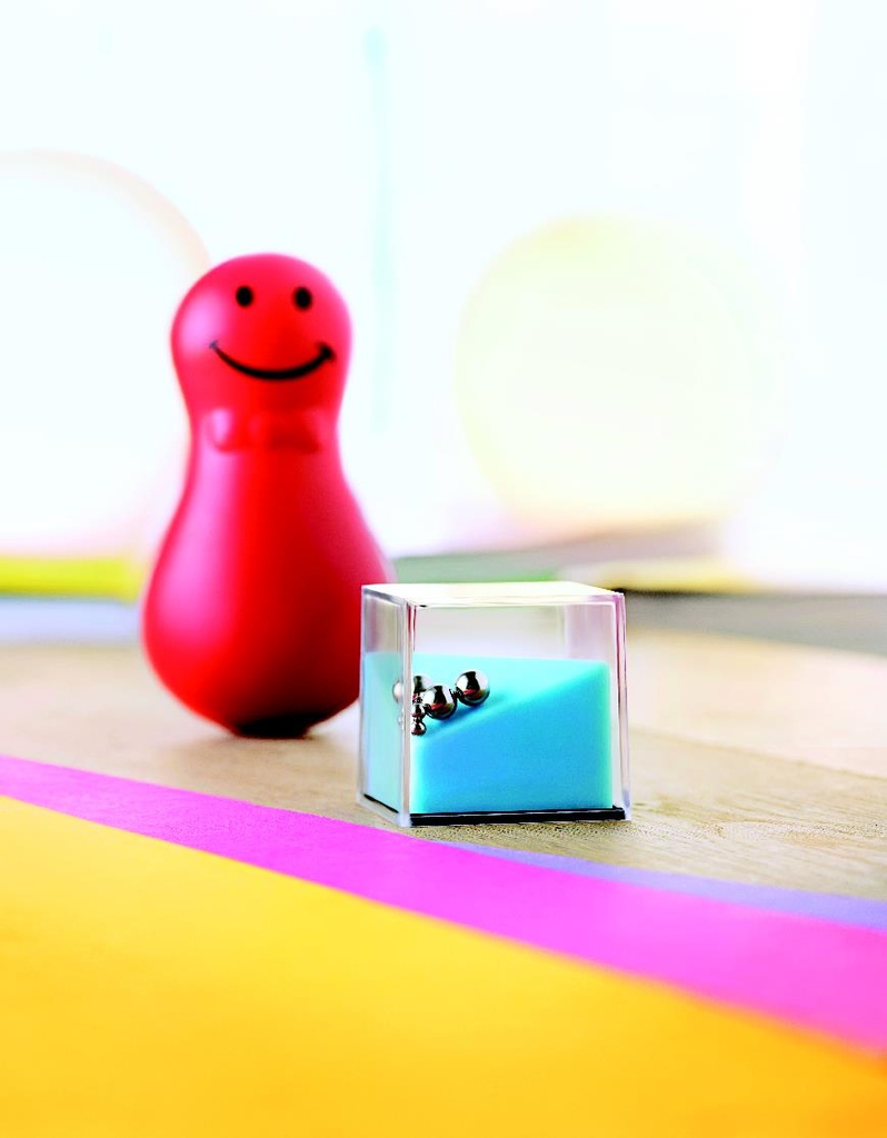 Immagine 2