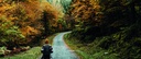 Immagine 11