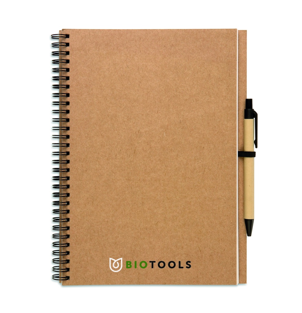 Immagine 2