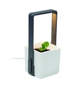 Immagine 6