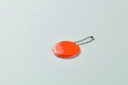 Immagine 4