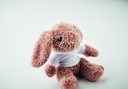 Immagine 7