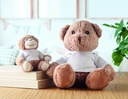 Immagine 5