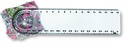 Righello con lente d'ingrandimento