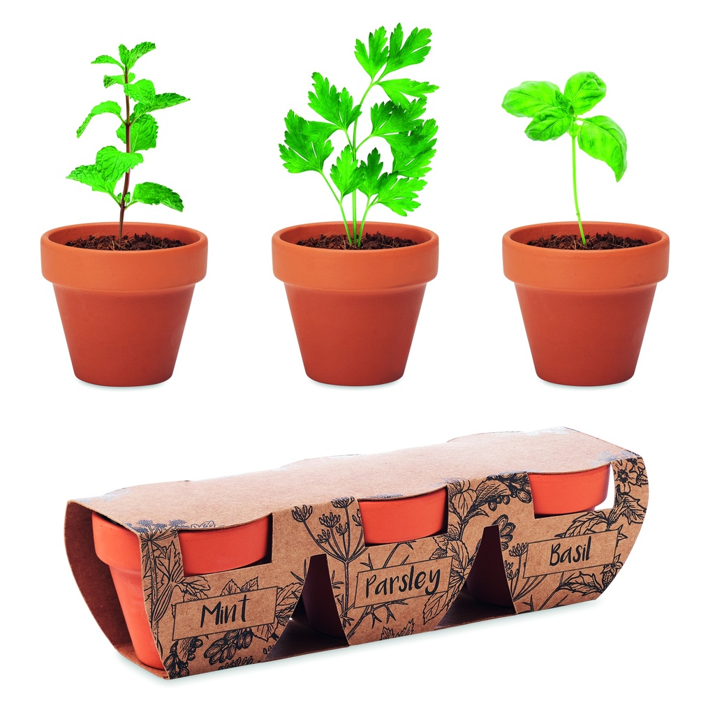 [MO6145-40] Set di 3 vasi per erbe aromatiche in terracotta