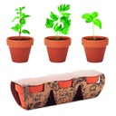 Set di 3 vasi per erbe aromatiche in terracotta