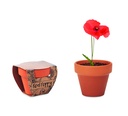 Vaso di terracotta a forma di papavero