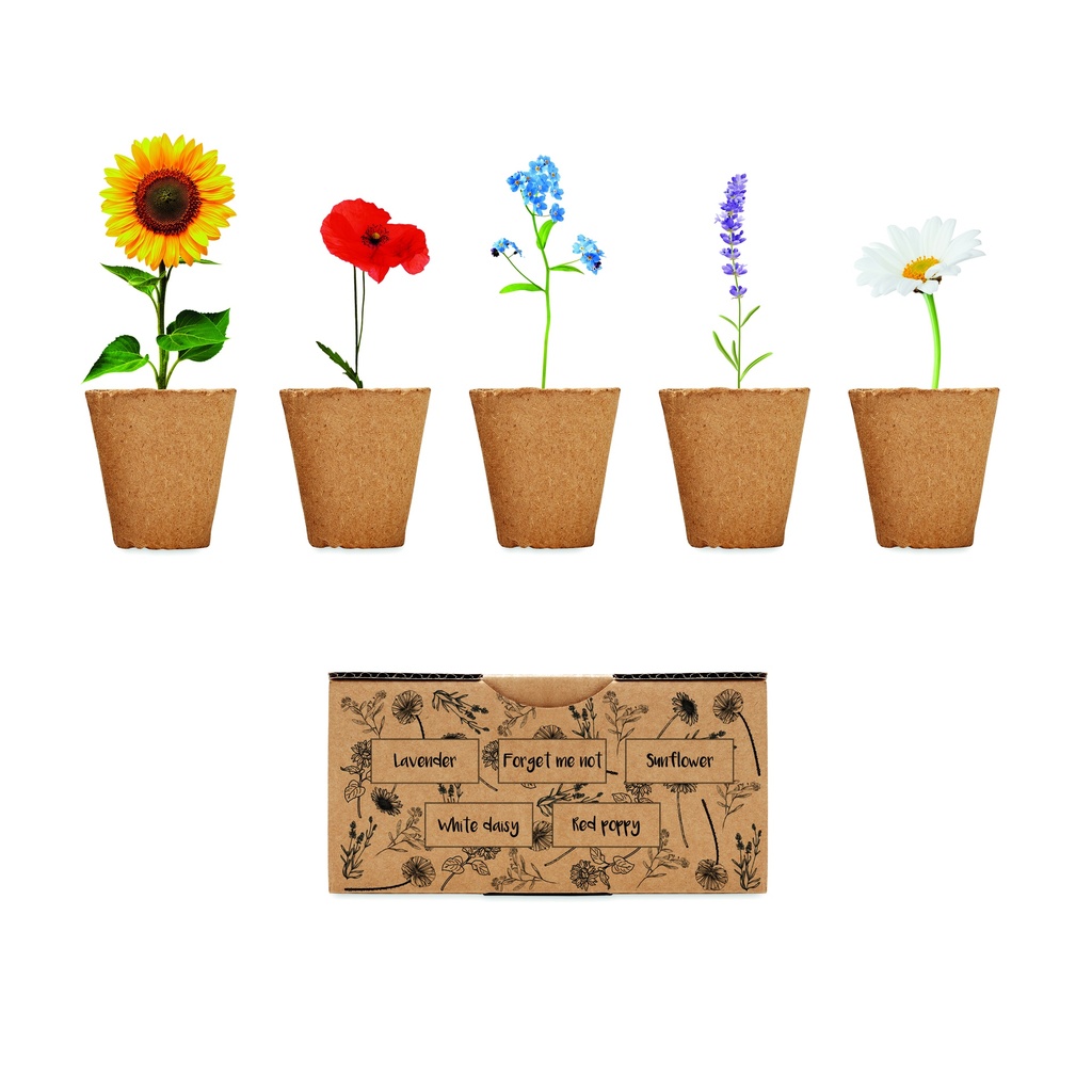 [MO6500-13] Kit per la coltivazione di fiori