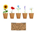 Kit per la coltivazione di fiori