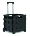 Carrello della spesa pieghevole