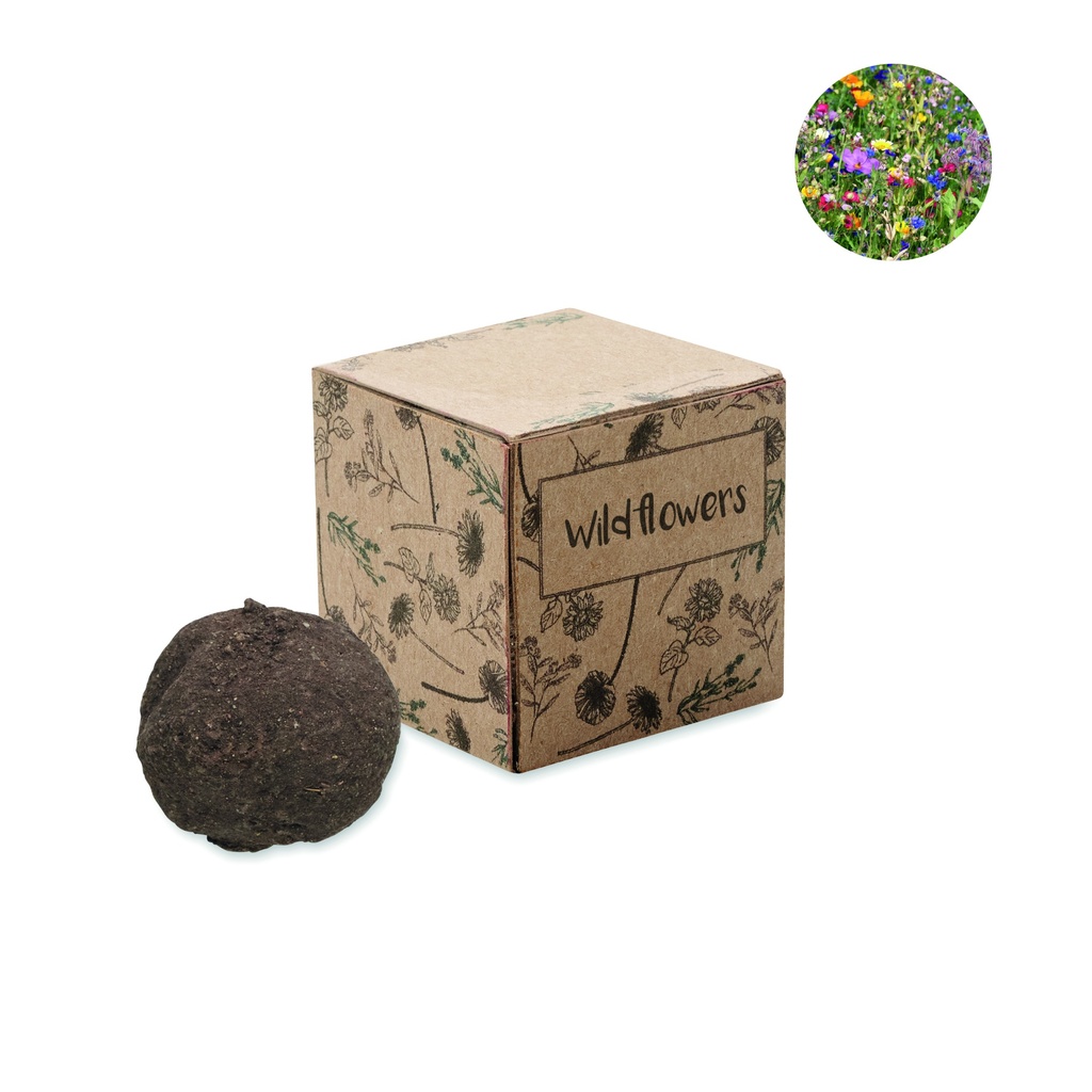 [MO6908-13] Kit di coltivazione con bombe di semi