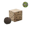 Kit di coltivazione con bombe di semi