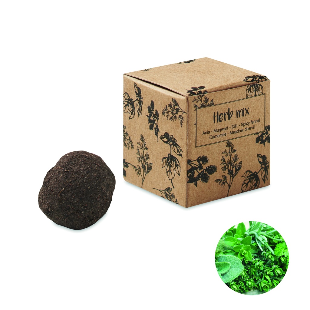 Bomba di semi di erbe aromatiche in scatola di cartone