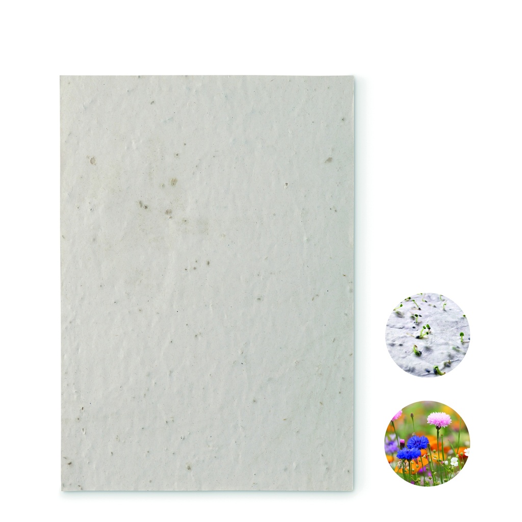 [MO6915-06] Foglio di carta formato A5 con semi di fiori selvatici