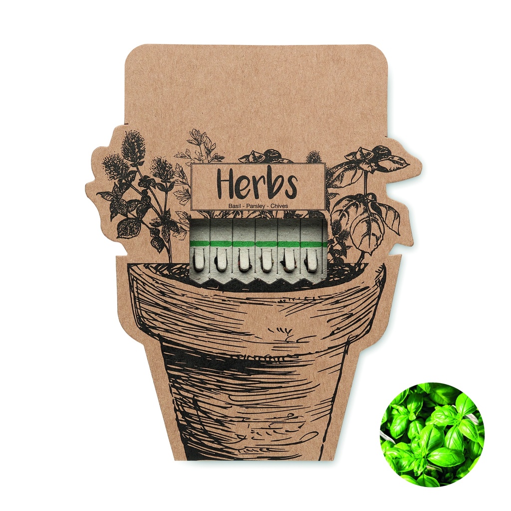 [MO6927-13] Bastoncini di semi di erbe aromatiche