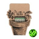 Bastoncini di semi di erbe aromatiche