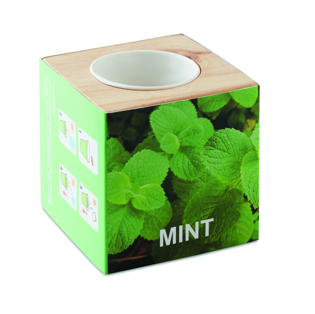 Vaso per erbe aromatiche "menta"