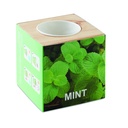 Vaso per erbe aromatiche "menta"