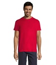 T-shirt colorata (moda) 150 unisex m/c girocollo - cotone jersey (XXS solo per alcuni colori)