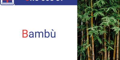 Banner Bamboo
