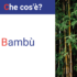 Banner Bamboo
